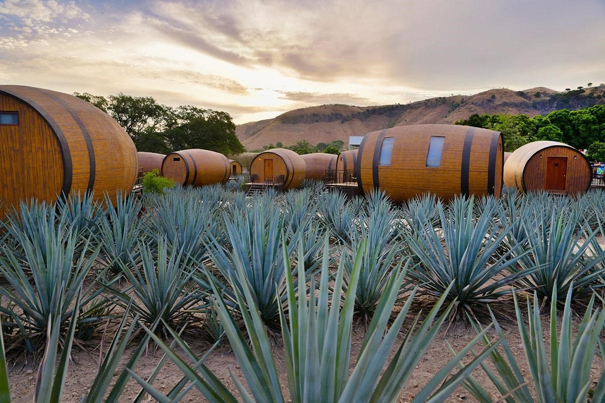 Barriques géantes à Tequila